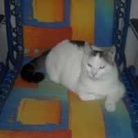 Photo #239939 de Eddy ou edouar