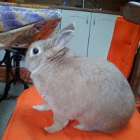 MARTINE_08_07_2010_081