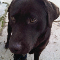 Photo #240118 de Elyot
