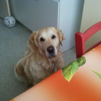 Photo #240241 de Uffy