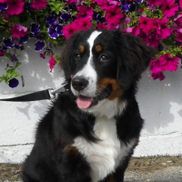 Photo #240294 de Maya