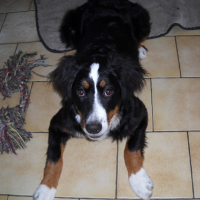 Photo #240295 de Maya