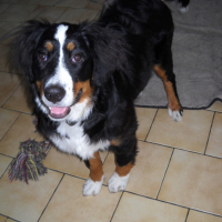 Photo #240296 de Maya