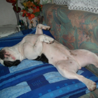 Photo #240319 de Enza