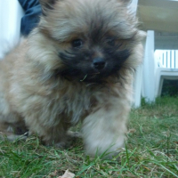 Photo #240358 de Famous 
