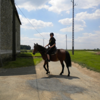 Photo #240365 de Ptit-mustang