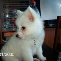 Photo #240431 de Filou