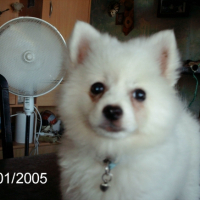 Photo #240432 de Filou