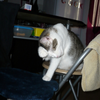 Photo #240649 de Aloah