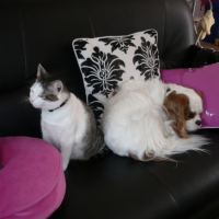 Photo #240654 de Aloah