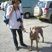 Photo #240706 de Austral