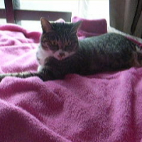 Photo #240761 de Jane