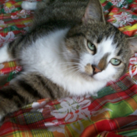 Photo #240837 de Valou