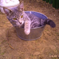 Photo #240840 de Loulou