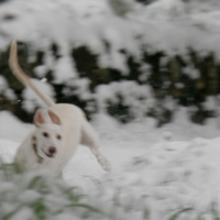 Photo #240887 de Gaïa