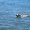 trop bien la mer!