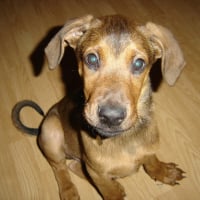 Photo #240997 de Spike