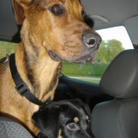 Photo #240998 de Spike