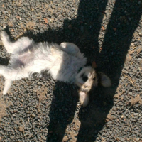 Photo #241000 de Eky