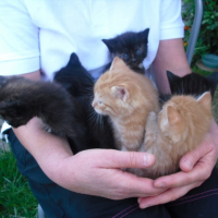 Photo #241141 de Mickette