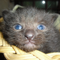 Photo #241142 de Mickette