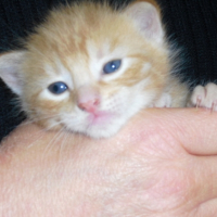 Photo #241143 de Mickette