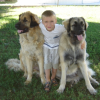 Photo #241210 de Ekinox