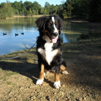 Photo #241223 de Maya