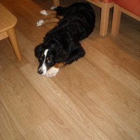 Photo #241224 de Maya