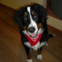 Photo #241225 de Maya