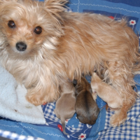 Photo #241316 de Canelle