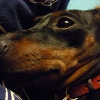 Photo #241326 de Elsy