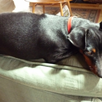 Photo #241328 de Elsy