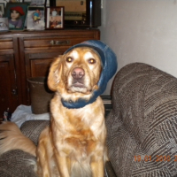 Photo #241343 de Zephyr