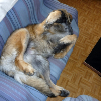 Photo #241353 de Emerson