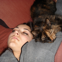 Photo #241367 de Fripouille
