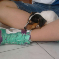 Photo #241394 de Floppie