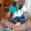 Jack_russel_de_Caroline_29_aout_2010_