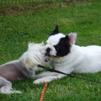 Photo #241429 de Bonny