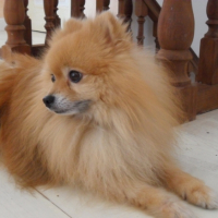 Photo #241541 de Aramis