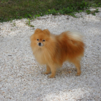 Photo #241543 de Aramis