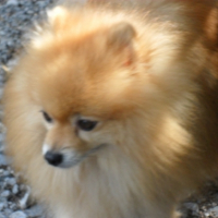 Photo #241544 de Aramis