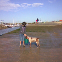 Photo #241752 de Dora