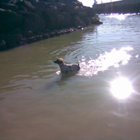 Photo #241755 de Dora