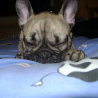 Photo #241893 de Deon