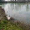 Mais euh !! L'eau elle est toute dure !!! je peu pas nager là !!