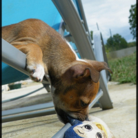 Photo #242022 de Fatal milo