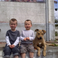 Photo #242062 de Fidjie