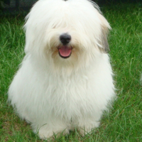 Photo #242064 de Elsa