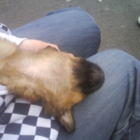 Photo #242123 de Bianka